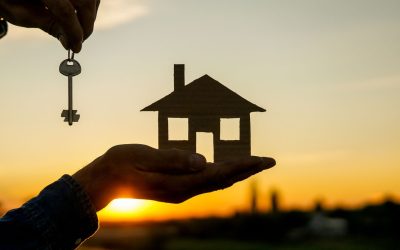 Les maisons vertes d’Amazonie : une révolution pour l’immobilier ?