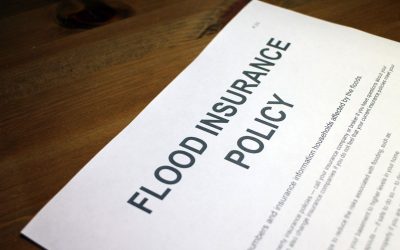 Assurance : Les séries cultes l’ont prédit!