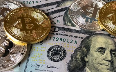 Plongez dans le monde fascinant des banques : tout ce que vous devez savoir