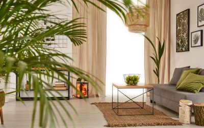 La Magie de la Décoration : Comment Créer un Espace Unique et Inspirant